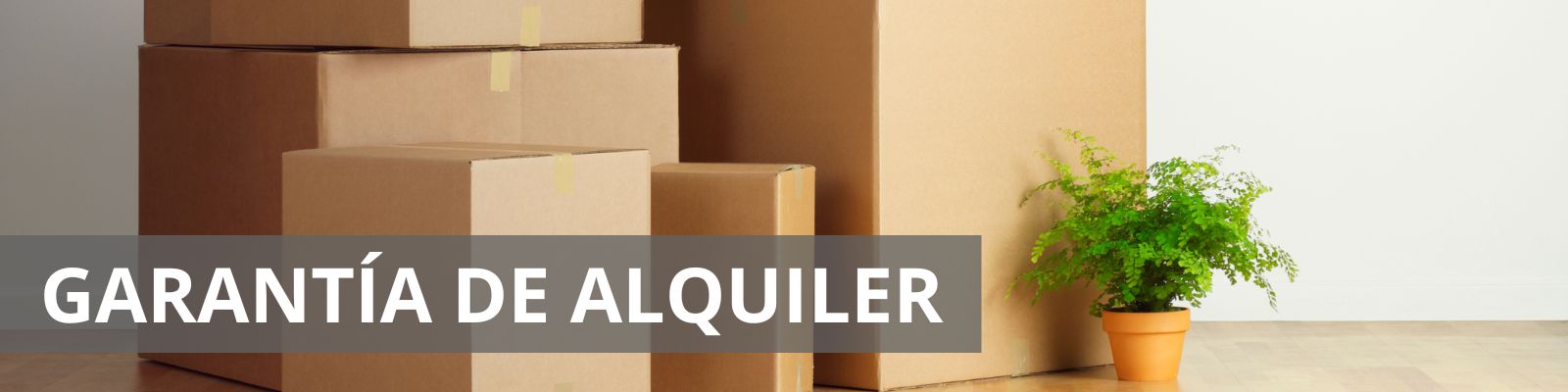 Imagen de cuatro cajas, una al lado de la otra, cada una más grande, junto a las cajas un pequeño helecho, con el texto Garantía de alquiler